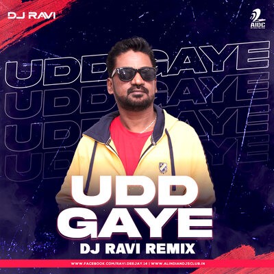 Udd Gaye (Remix) - DJ Ravi