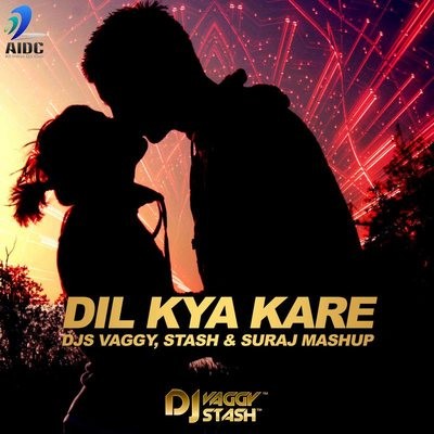 DIL KYA KARE MASHUP - DJS VAGGY, STASH & SURAJ