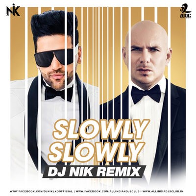 Slowly Slowly (Remix) - DJ NIK