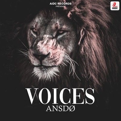 Voices - ANSD&Oslash; (Original Mix)