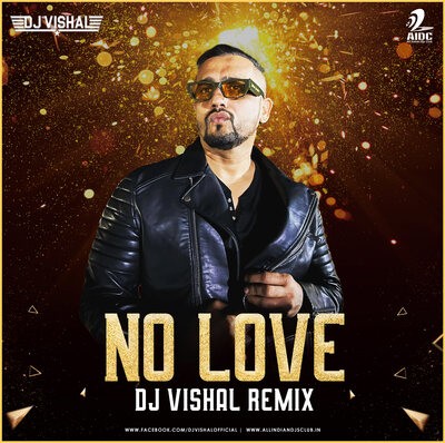 No Love (Remix) - DJ Vishal