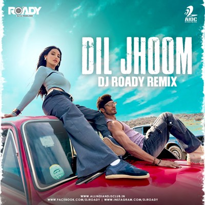 Dil Jhoom (Remix) - DJ Roady